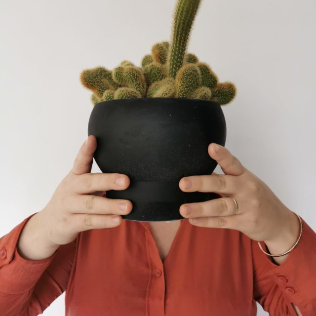 Marine cachée derrière un cactus